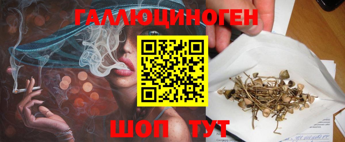 Озёры  Псилоцибиновые грибы MAGIC MUSHROOMS  Вход с VPN 